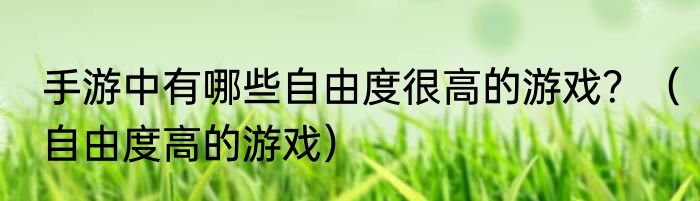 手游中有哪些自由度很高的游戏？（自由度高的游戏）