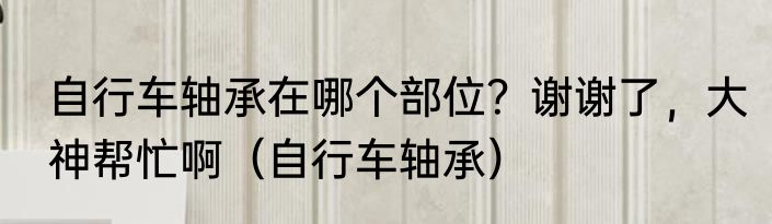自行车轴承在哪个部位？谢谢了，大神帮忙啊（自行车轴承）