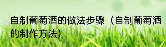 自制葡萄酒的做法步骤（自制葡萄酒的制作方法）