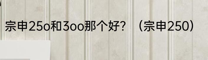 宗申25o和3oo那个好？（宗申250）