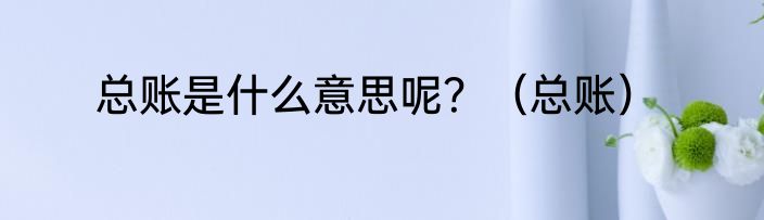 总账是什么意思呢？（总账）