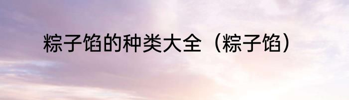 粽子馅的种类大全（粽子馅）
