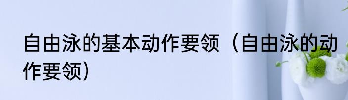 自由泳的基本动作要领（自由泳的动作要领）