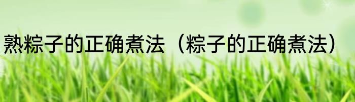 熟粽子的正确煮法（粽子的正确煮法）