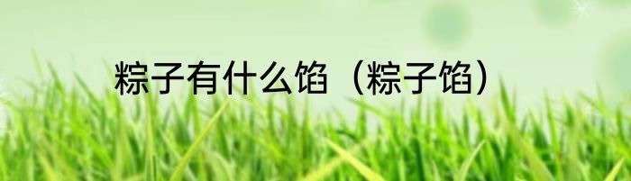 粽子有什么馅（粽子馅）