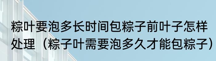 粽叶要泡多长时间包粽子前叶子怎样处理（粽子叶需要泡多久才能包粽子）