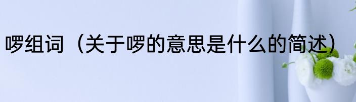 啰组词（关于啰的意思是什么的简述）