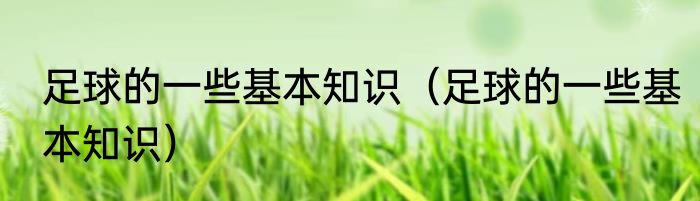 足球的一些基本知识（足球的一些基本知识）