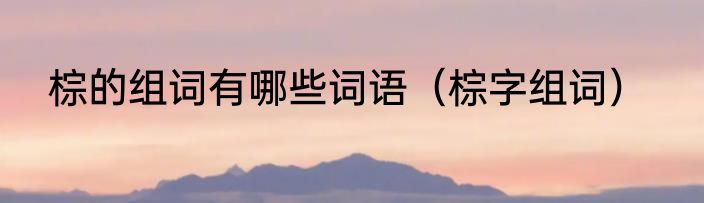 棕的组词有哪些词语（棕字组词）