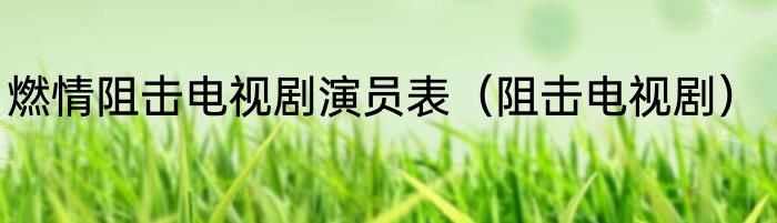 燃情阻击电视剧演员表（阻击电视剧）