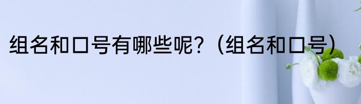 组名和口号有哪些呢?（组名和口号）