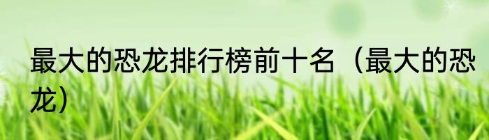 最大的恐龙排行榜前十名（最大的恐龙）