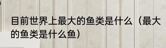 目前世界上最大的鱼类是什么（最大的鱼类是什么鱼）
