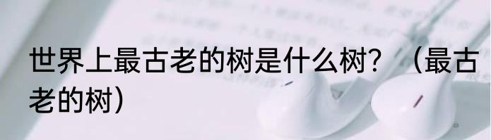 世界上最古老的树是什么树？（最古老的树）