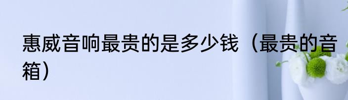惠威音响最贵的是多少钱（最贵的音箱）