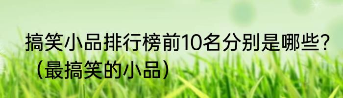 搞笑小品排行榜前10名分别是哪些？（最搞笑的小品）