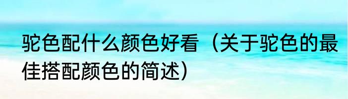 驼色配什么颜色好看（关于驼色的最佳搭配颜色的简述）