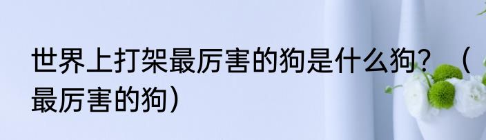 世界上打架最厉害的狗是什么狗？（最厉害的狗）