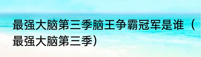 最强大脑第三季脑王争霸冠军是谁（最强大脑第三季）