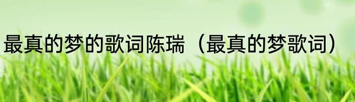 最真的梦的歌词陈瑞（最真的梦歌词）