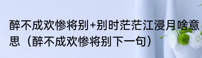 醉不成欢惨将别+别时茫茫江浸月啥意思（醉不成欢惨将别下一句）
