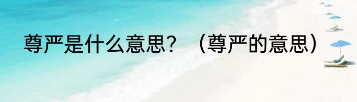尊严是什么意思？（尊严的意思）