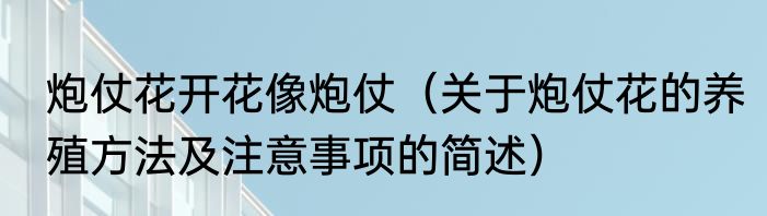 炮仗花开花像炮仗（关于炮仗花的养殖方法及注意事项的简述）
