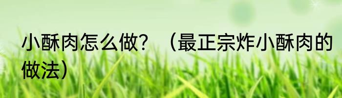 小酥肉怎么做？（最正宗炸小酥肉的做法）