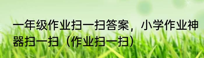 一年级作业扫一扫答案，小学作业神器扫一扫（作业扫一扫）