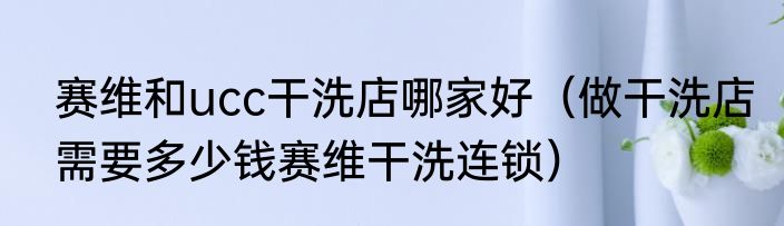 赛维和ucc干洗店哪家好（做干洗店需要多少钱赛维干洗连锁）
