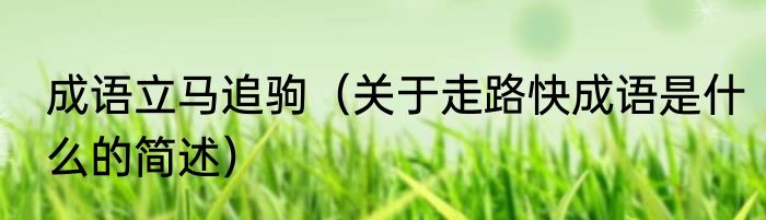 成语立马追驹（关于走路快成语是什么的简述）