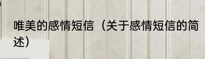 唯美的感情短信（关于感情短信的简述）