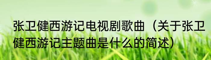 张卫健西游记电视剧歌曲（关于张卫健西游记主题曲是什么的简述）