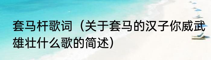 套马杆歌词（关于套马的汉子你威武雄壮什么歌的简述）