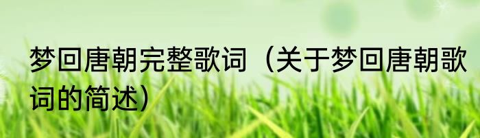 梦回唐朝完整歌词（关于梦回唐朝歌词的简述）