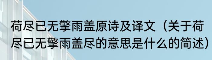 荷尽已无擎雨盖原诗及译文（关于荷尽已无擎雨盖尽的意思是什么的简述）