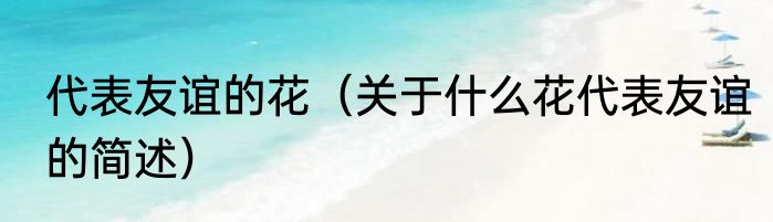 代表友谊的花（关于什么花代表友谊的简述）