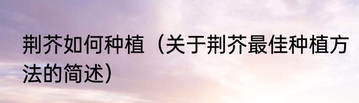 荆芥如何种植（关于荆芥最佳种植方法的简述）
