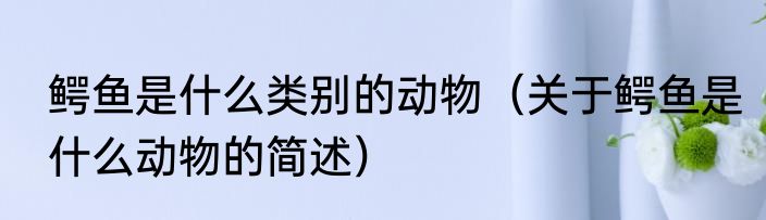 鳄鱼是什么类别的动物（关于鳄鱼是什么动物的简述）
