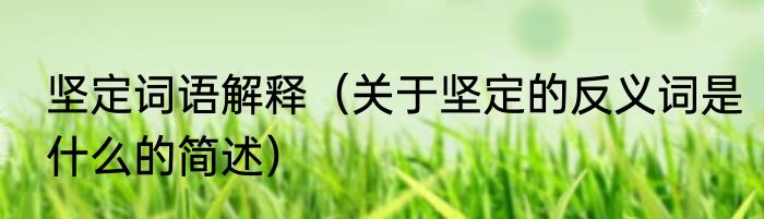 坚定词语解释（关于坚定的反义词是什么的简述）