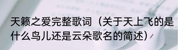 天籁之爱完整歌词（关于天上飞的是什么鸟儿还是云朵歌名的简述）