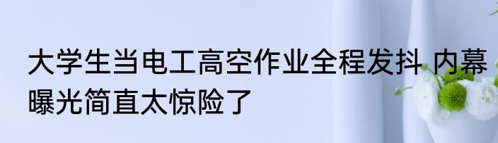 大学生当电工高空作业全程发抖 内幕曝光简直太惊险了