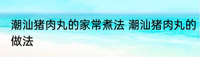 潮汕猪肉丸的家常煮法 潮汕猪肉丸的做法