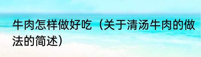 牛肉怎样做好吃（关于清汤牛肉的做法的简述）