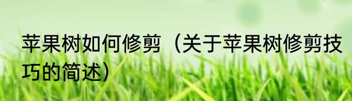 苹果树如何修剪（关于苹果树修剪技巧的简述）