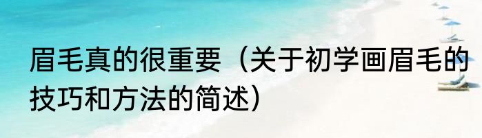 眉毛真的很重要（关于初学画眉毛的技巧和方法的简述）