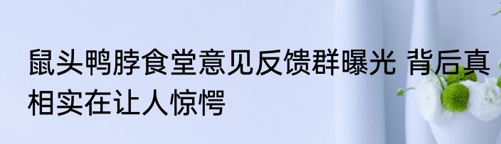 鼠头鸭脖食堂意见反馈群曝光 背后真相实在让人惊愕