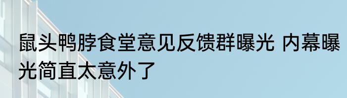 鼠头鸭脖食堂意见反馈群曝光 内幕曝光简直太意外了
