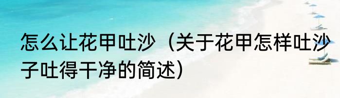 怎么让花甲吐沙（关于花甲怎样吐沙子吐得干净的简述）