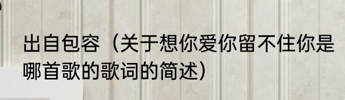 出自包容（关于想你爱你留不住你是哪首歌的歌词的简述）